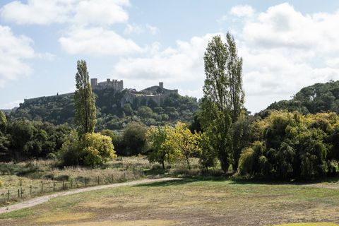 Farm i Obidos, Leiria, Obidos - € 4.500.000 | Ref: MM002410 - foto 14